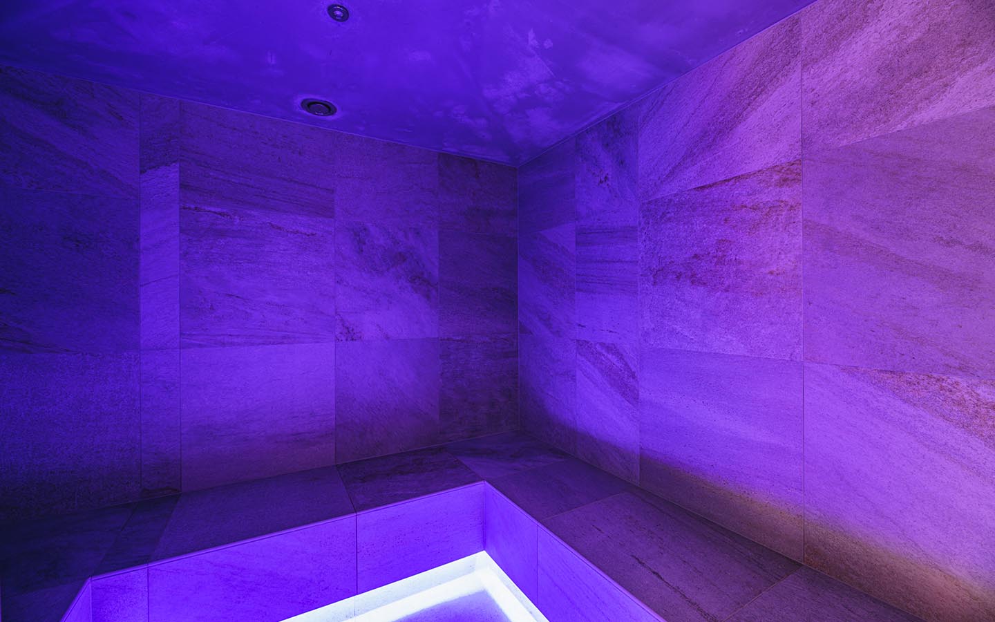 Steam bath