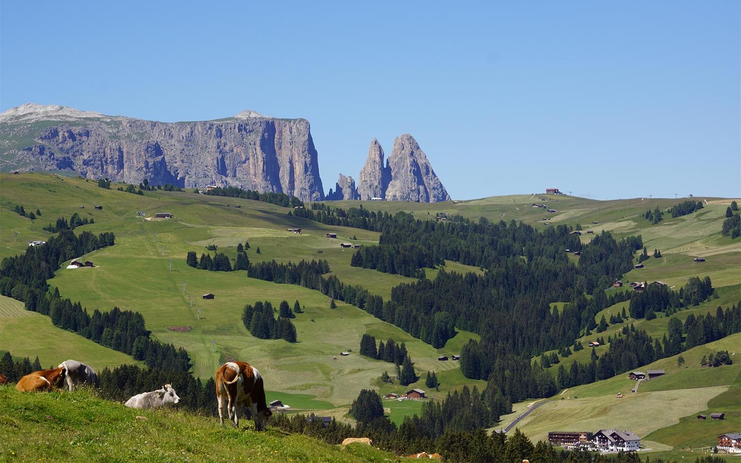Alpe di Siusi in summer